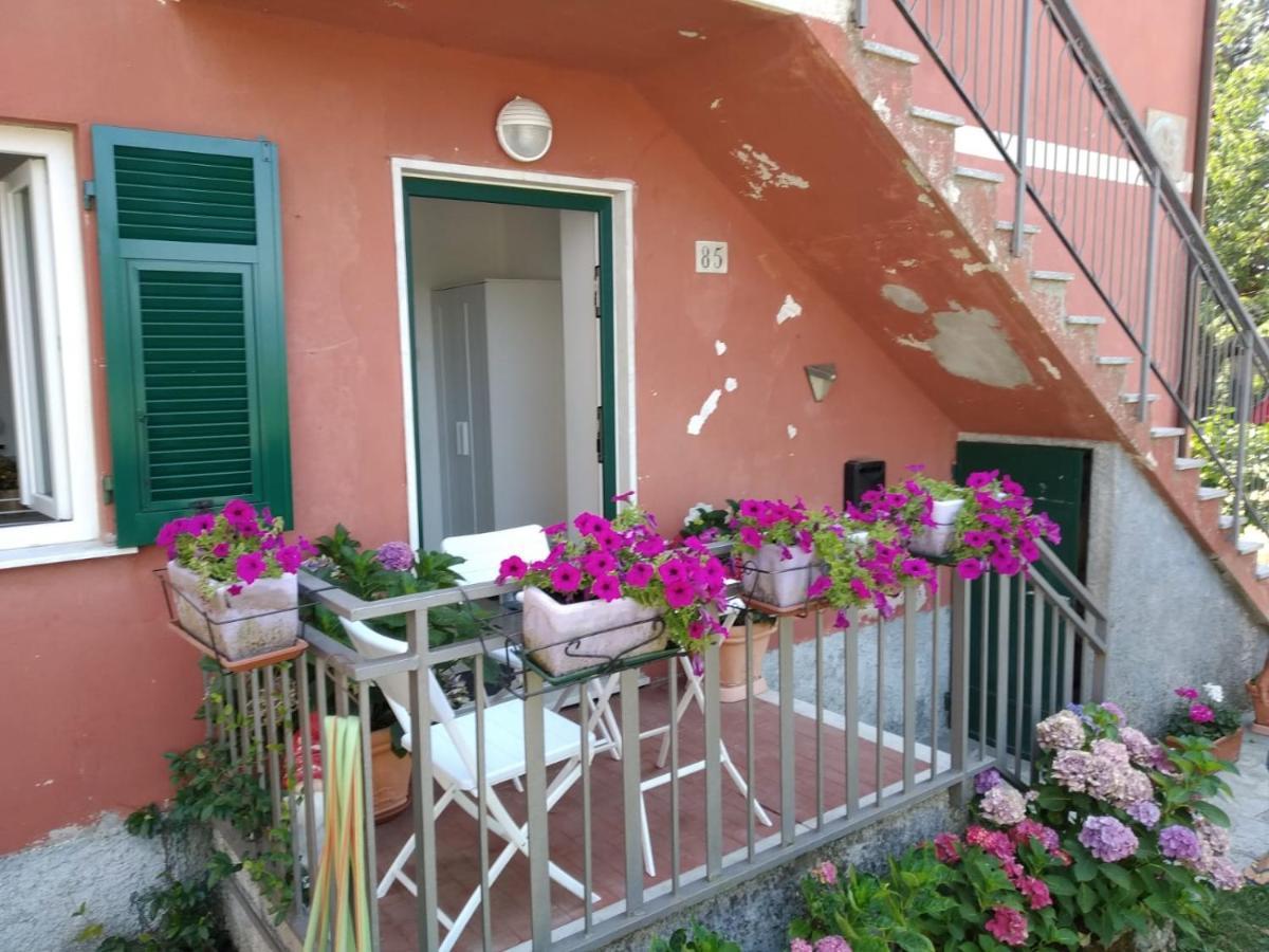 Appartamento La Pineta It010-058C20-Tj54093 Serra Rocco Exterior foto